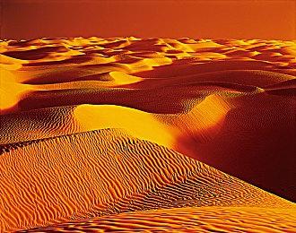 《杀手：暗杀世界》联动《007》 拔叔出演！