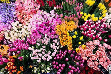 宝可梦 x ITZY 集换式卡牌广告 《IT'Z TIME TO BATTLE》